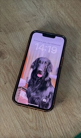 zagubiony telefon